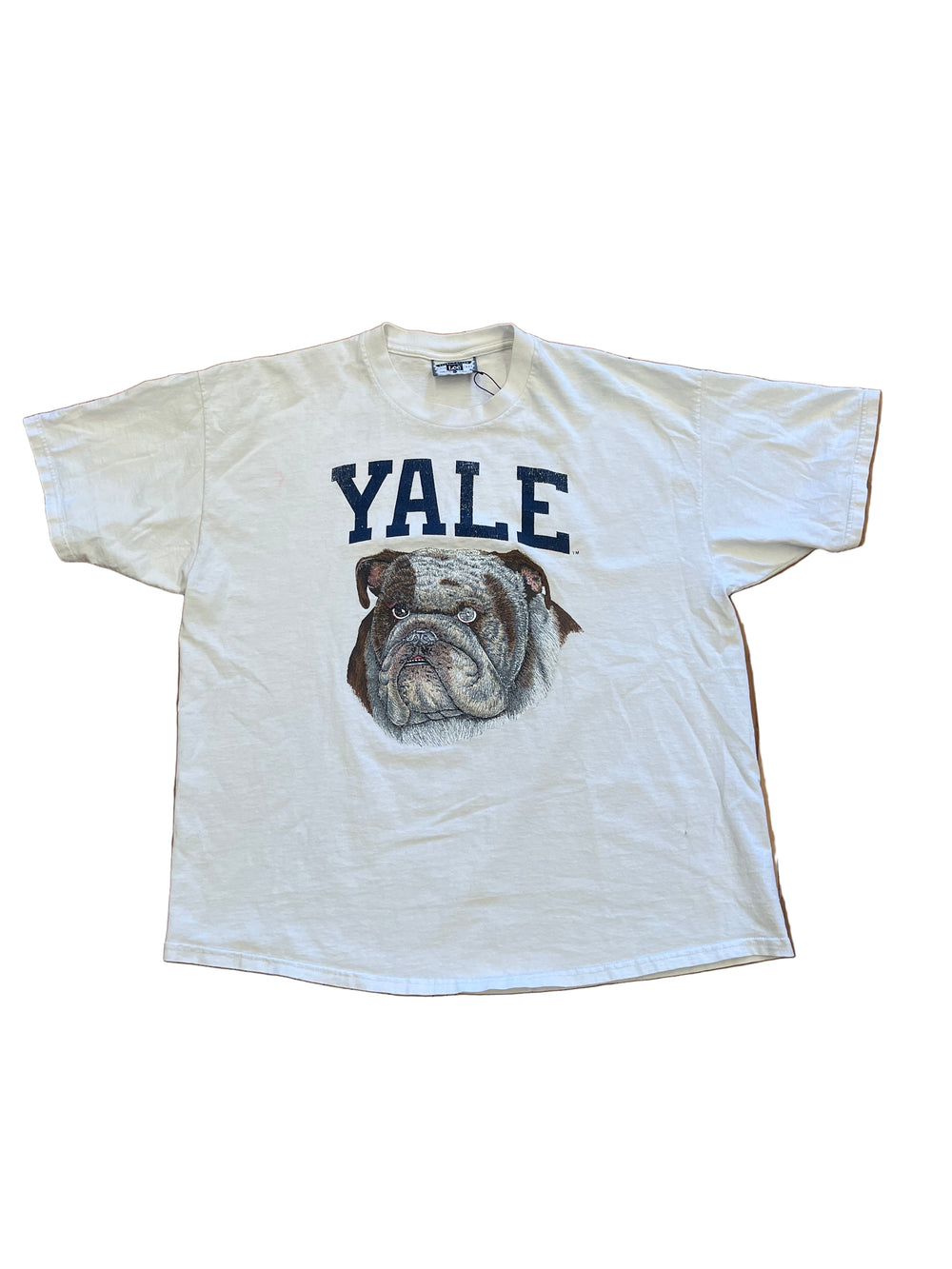 Yale Bulldogs